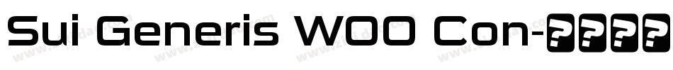 Sui Generis W00 Con字体转换
